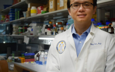 Meet The Researcher – Dr. Hang Lin, PhD